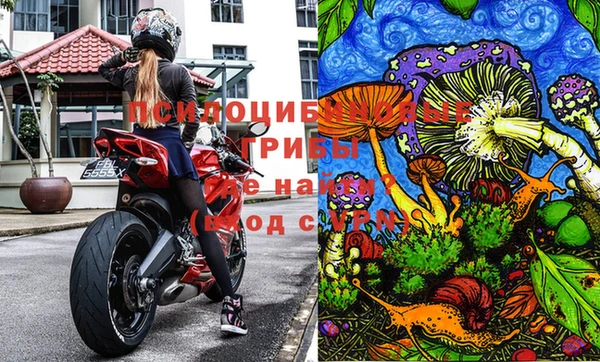 винт Ладушкин