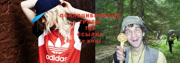 соль курить ск Лагань