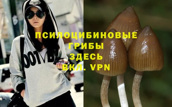 винт Ладушкин