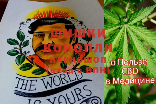 винт Ладушкин