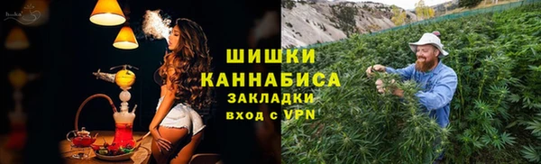 винт Ладушкин